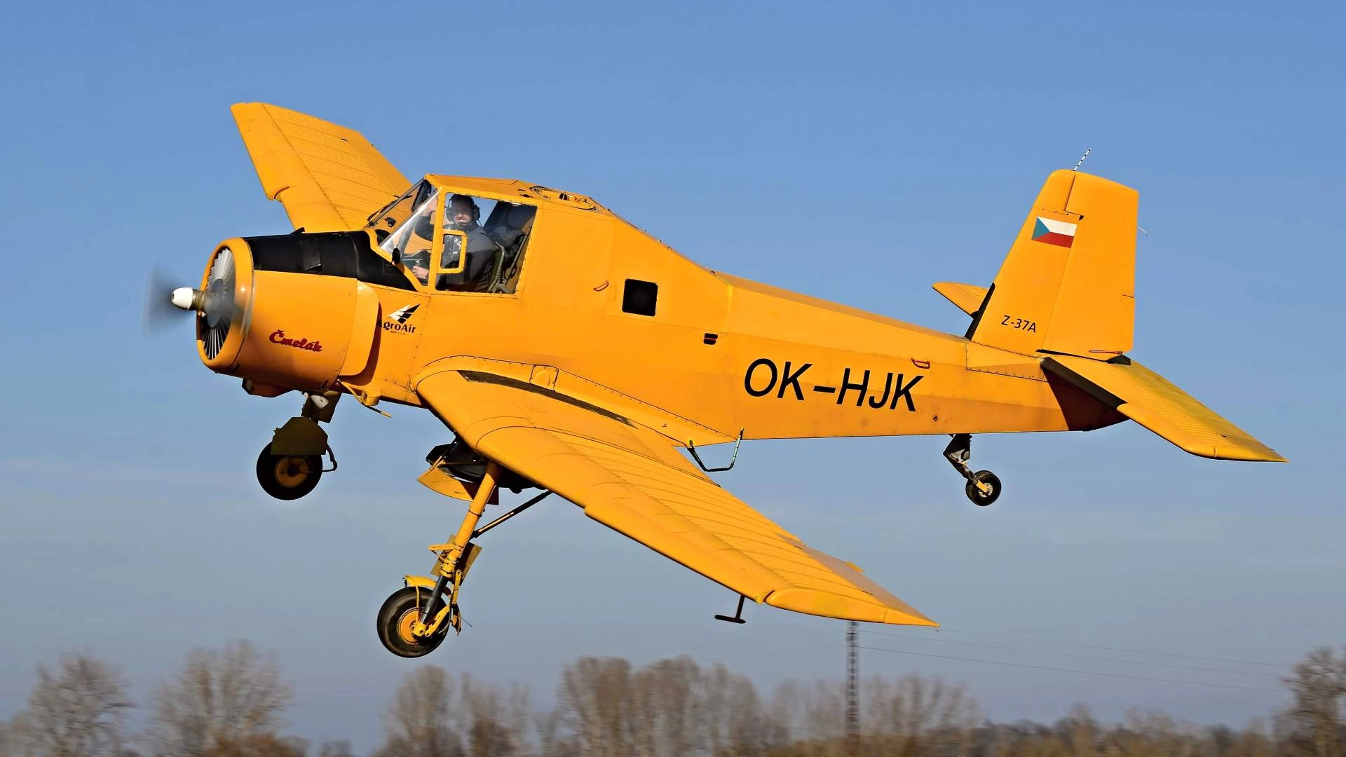 Biologická ochrana rostlin bez chemie